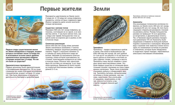 Изображение товара Энциклопедия Махаон Универсальная школьная энциклопедия (Перруден Ф., Камбурнак Л.)