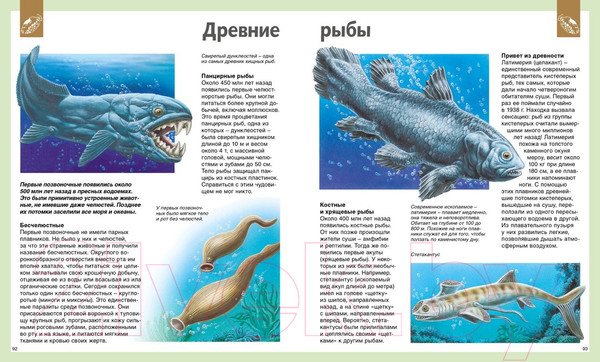 Изображение товара Энциклопедия Махаон Универсальная школьная энциклопедия (Перруден Ф., Камбурнак Л.)