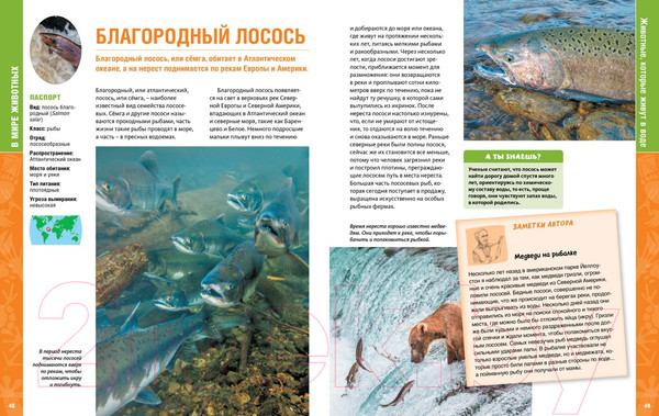 Изображение товара Энциклопедия Махаон В мире животных. Энциклопедия (Пратези Ф., Пратези И.)