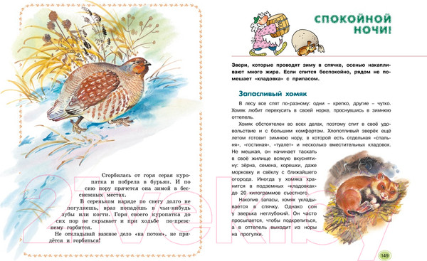 Изображение товара Энциклопедия Махаон Большая лесная энциклопедия (Тихонов А.)