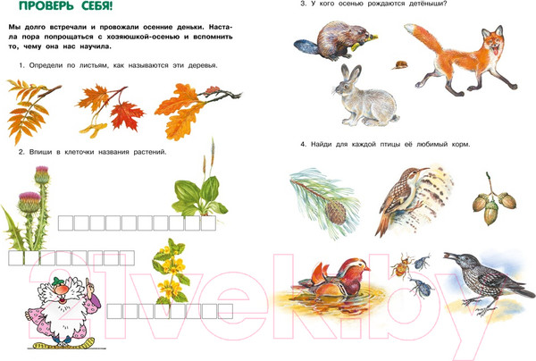 Изображение товара Энциклопедия Махаон Большая лесная энциклопедия (Тихонов А.)