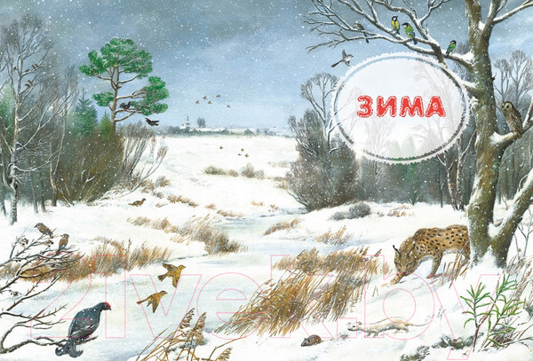 Изображение товара Энциклопедия Махаон Большая лесная энциклопедия (Тихонов А.)