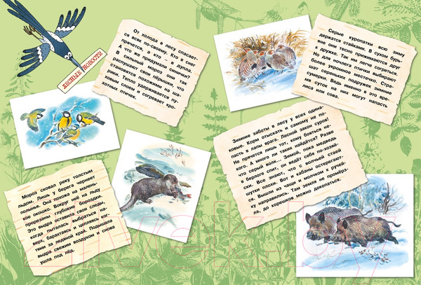 Изображение товара Энциклопедия Махаон Большая лесная энциклопедия (Тихонов А.)