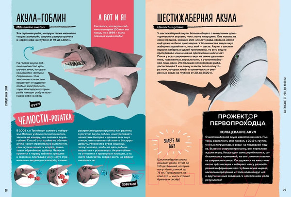 Изображение товара Энциклопедия Махаон Мир вокруг тебя. Тайны мирового океана (Фланнери Т.)