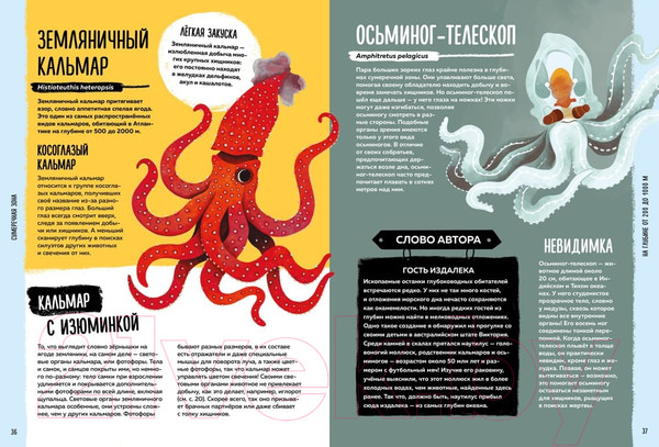 Изображение товара Энциклопедия Махаон Мир вокруг тебя. Тайны мирового океана (Фланнери Т.)