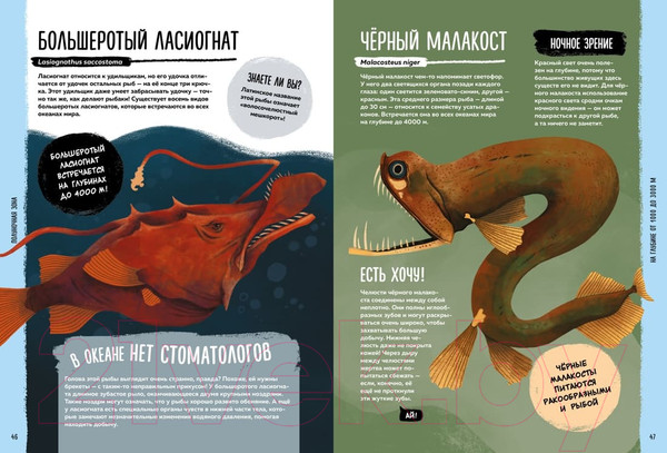 Изображение товара Энциклопедия Махаон Мир вокруг тебя. Тайны мирового океана (Фланнери Т.)