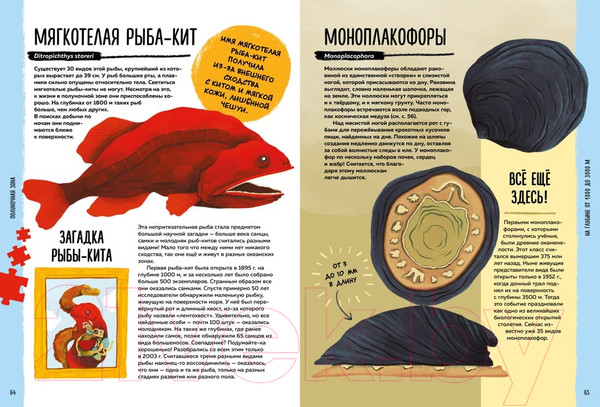Изображение товара Энциклопедия Махаон Мир вокруг тебя. Тайны мирового океана (Фланнери Т.)