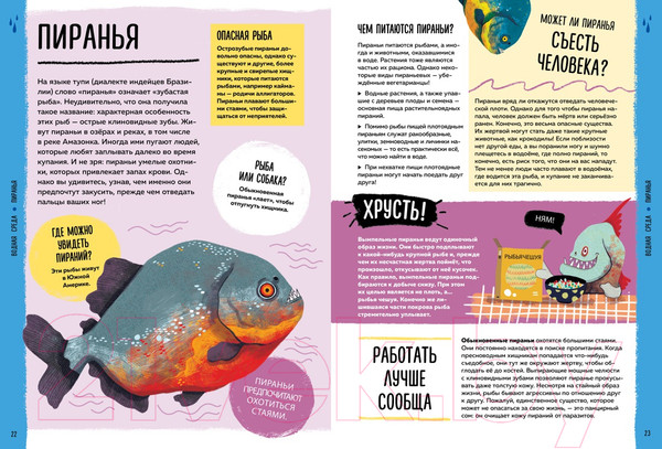 Изображение товара Энциклопедия Махаон Мир вокруг тебя. Эти невероятные животные! (Фланнери Т.)