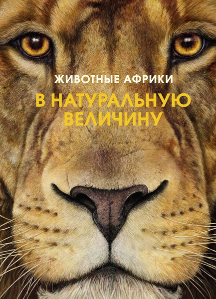 Изображение товара Энциклопедия Махаон Животные Африки в натуральную величину (Хааг Х.)