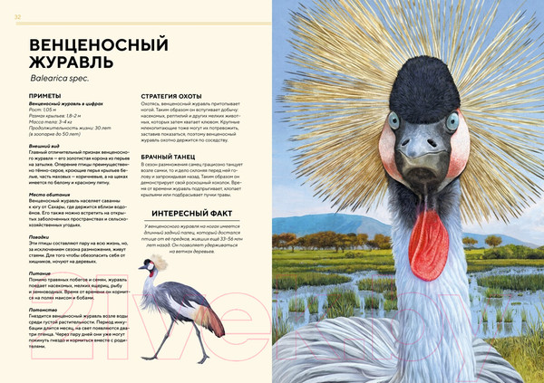 Изображение товара Энциклопедия Махаон Животные Африки в натуральную величину (Хааг Х.)