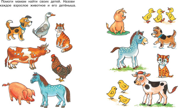 Изображение товара Развивающая книга Махаон Что нас окружает 3-4 года, мягкая обложка (Земцова Ольга)