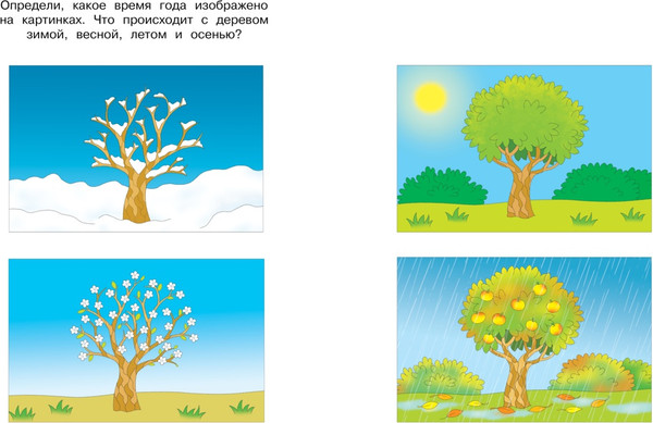 Изображение товара Развивающая книга Махаон Веселые часы 4-5 лет, мягкая обложка (Земцова Ольга)