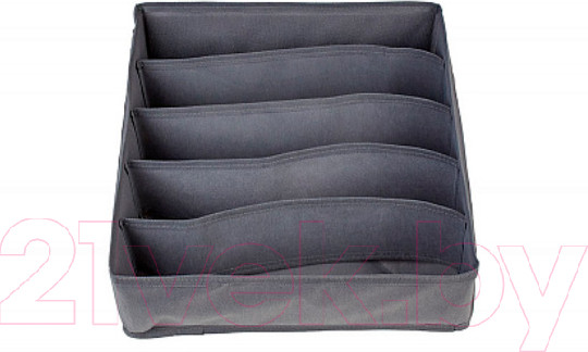 Изображение товара Кофр для хранения Polini Kids Polini Home 5 секций 32x32x10 / 0002586-3 (серый)