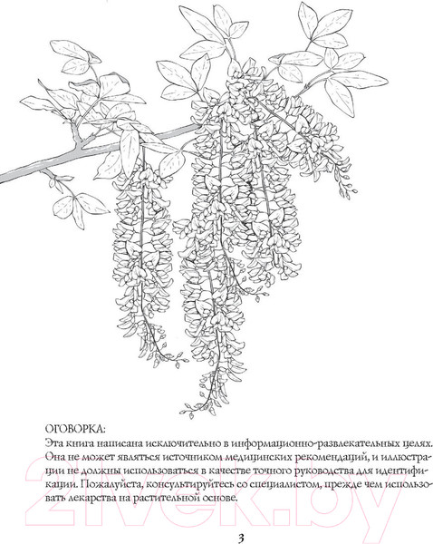 Изображение товара Книга АСТ Магия растений: убийцы и целители (Инкрайт Ф.)