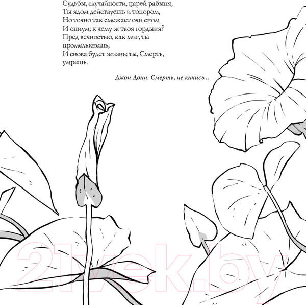 Изображение товара Книга АСТ Магия растений: убийцы и целители (Инкрайт Ф.)