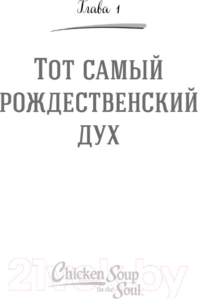 Изображение товара Художественная книга Бомбора Куриный бульон для души: Дух Рождества. 101 история (Ньюмарк Э.)