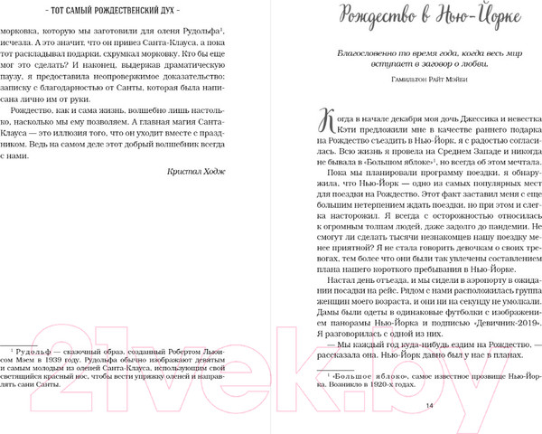 Изображение товара Художественная книга Бомбора Куриный бульон для души: Дух Рождества. 101 история (Ньюмарк Э.)