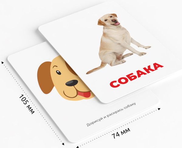 Изображение товара Развивающие карточки Mega Toys Домашние животные / 12111