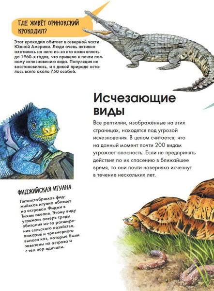 Изображение товара Энциклопедия АСТ Рептилии (МакРей Энн)