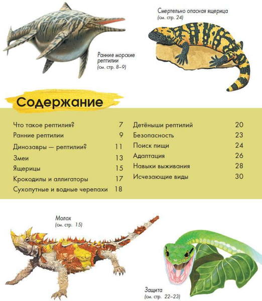 Изображение товара Энциклопедия АСТ Рептилии (МакРей Энн)