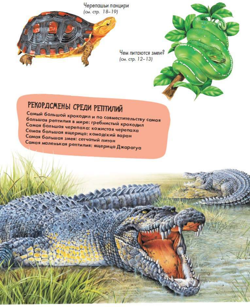 Изображение товара Энциклопедия АСТ Рептилии (МакРей Энн)