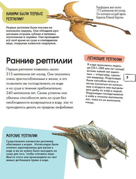 Изображение товара Энциклопедия АСТ Рептилии (МакРей Энн)