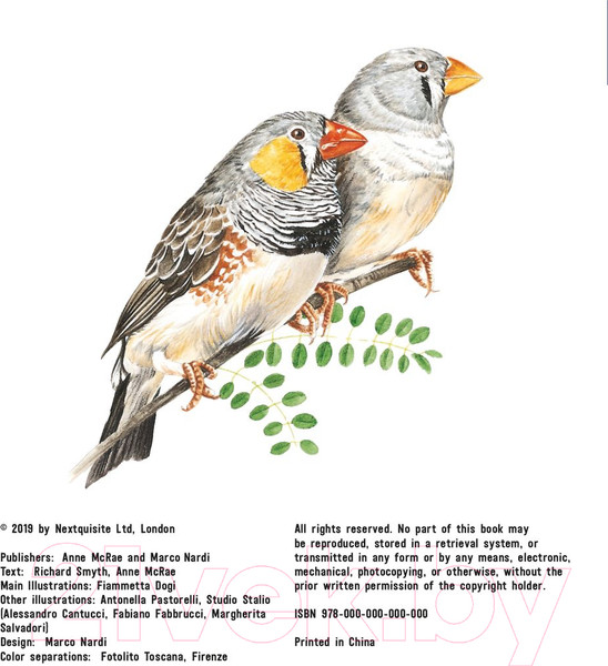 Изображение товара Энциклопедия АСТ Птицы (МакРей Э.)