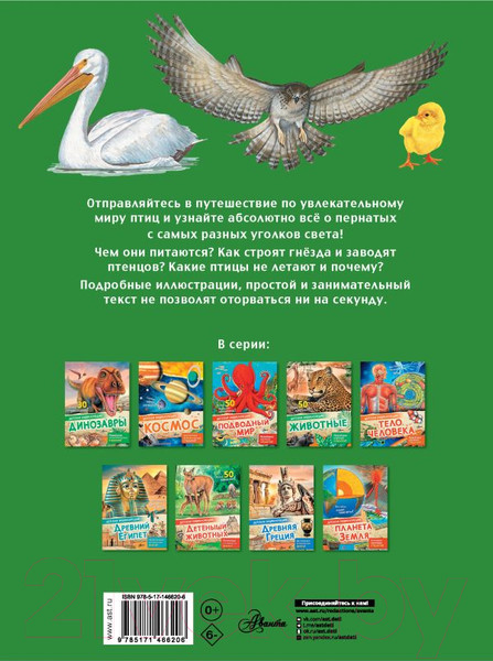 Изображение товара Энциклопедия АСТ Птицы (МакРей Э.)