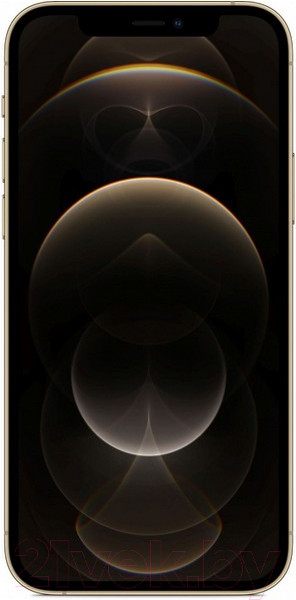 Изображение товара Смартфон восстановленный Apple iPhone 12 Pro 128GB Flip Грейд A (золото)