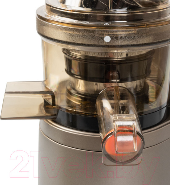 Изображение товара Соковыжималка электрическая Endever Sigma 101