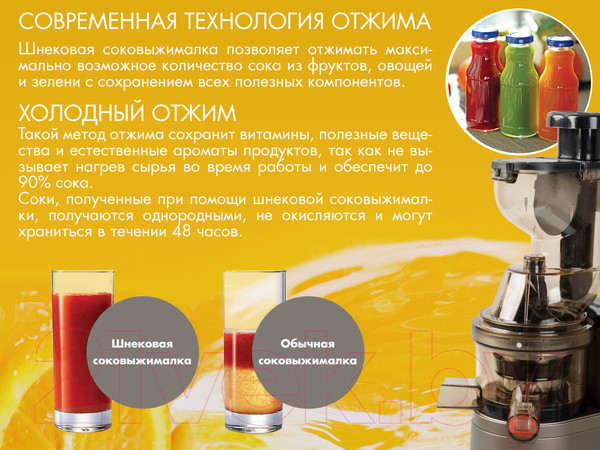 Изображение товара Соковыжималка электрическая Endever Sigma 101