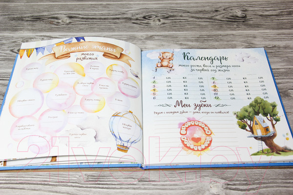 Изображение товара Альбом малыша АСТ Первый в жизни альбом. Как я расту от 0 до 5 лет / 9785171113827