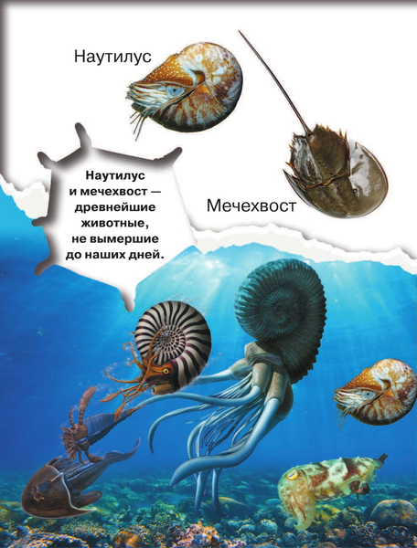 Изображение товара Энциклопедия АСТ Динозавры и древние животные. 200 картинок