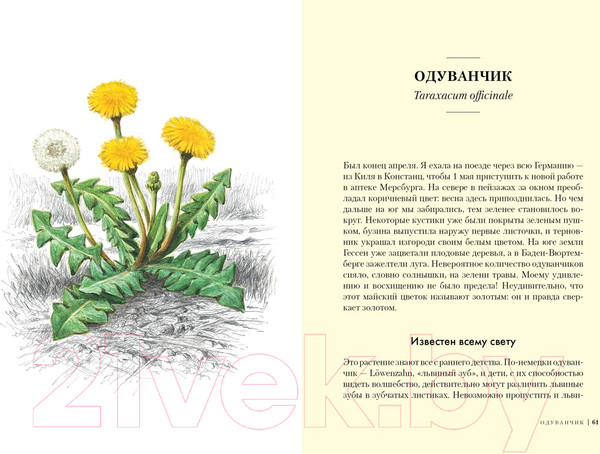 Изображение товара Книга КоЛибри Травы: Природный источник жизненной силы (Штумпф У.)