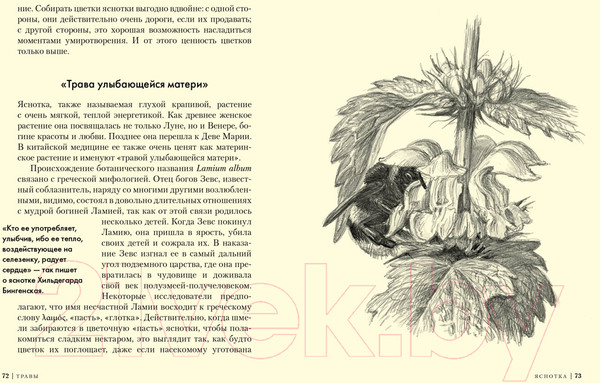 Изображение товара Книга КоЛибри Травы: Природный источник жизненной силы (Штумпф У.)