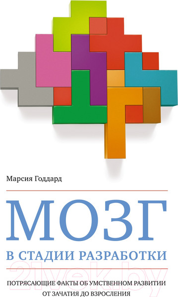 Изображение товара Книга КоЛибри Мозг в стадии разработки (Годдард М.)