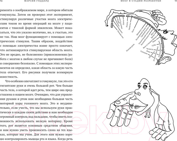 Изображение товара Книга КоЛибри Мозг в стадии разработки (Годдард М.)