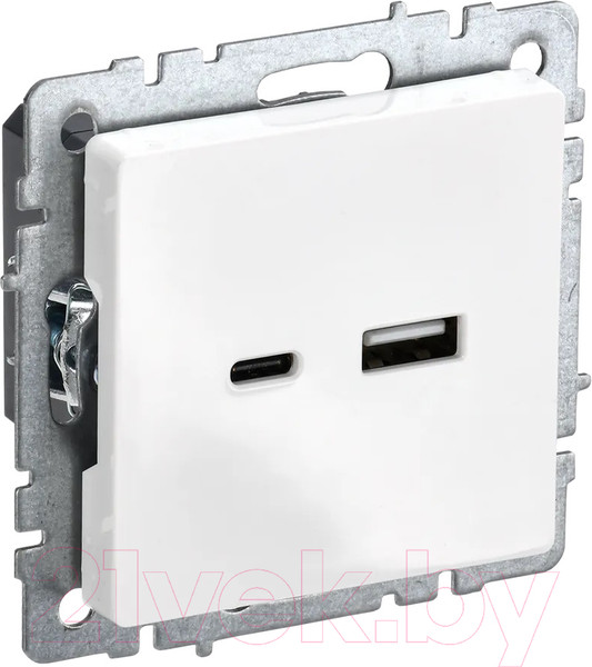 Изображение товара Розетка IEK Brite BR-U22-018-K01 (белый)