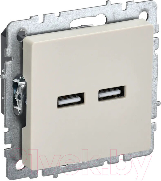 Изображение товара Розетка IEK Brite BR-U21-D31-K10 (бежевый)