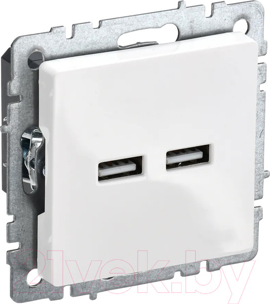 Изображение товара Розетка IEK Brite BR-U21-D31-K01 (белый)