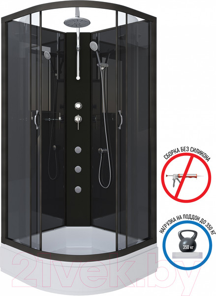 Изображение товара Душевая кабина Niagara NG-6501-14BKTG 90x90x200 (тонированное стекло/черный)
