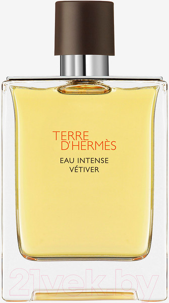 Изображение товара Парфюмерная вода Hermes Terre D'Hermes Eau Intense Vetiver (100мл)