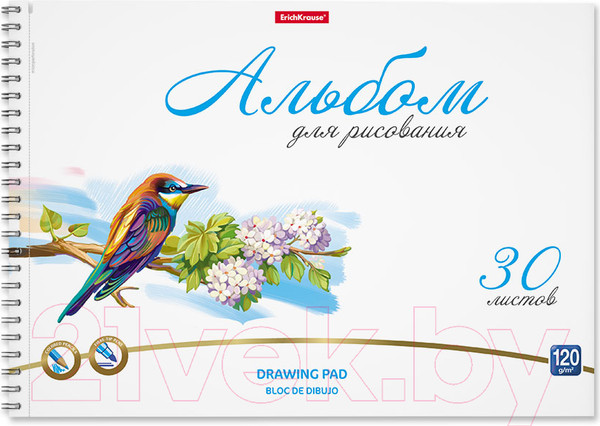 Изображение товара Альбом для рисования Erich Krause Birds / 58579