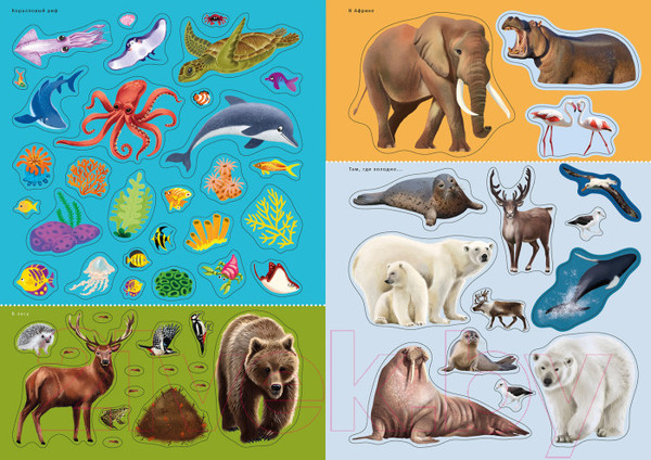 Изображение товара Развивающая книга Робинс Наклейки с заданиями. Мои первые животные