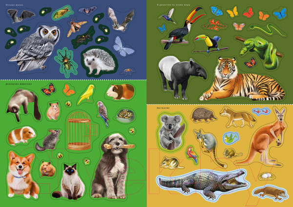 Изображение товара Развивающая книга Робинс Наклейки с заданиями. Мои первые животные