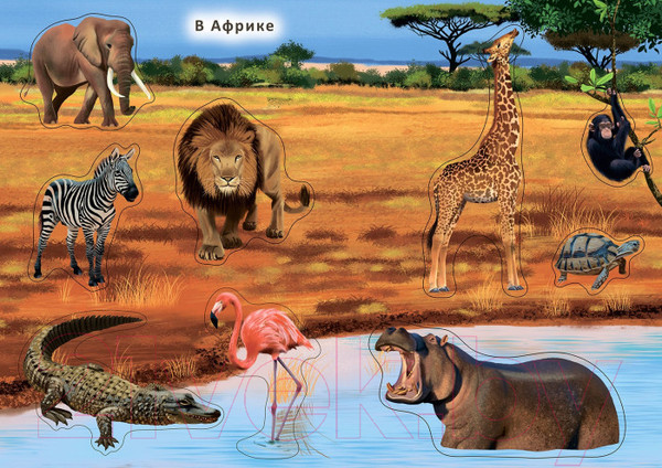 Изображение товара Развивающая книга Робинс Наклейки с заданиями. Мои первые животные