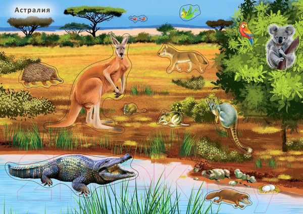 Изображение товара Развивающая книга Робинс Наклейки с заданиями. Мои первые животные