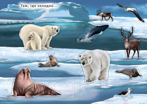 Изображение товара Развивающая книга Робинс Наклейки с заданиями. Мои первые животные