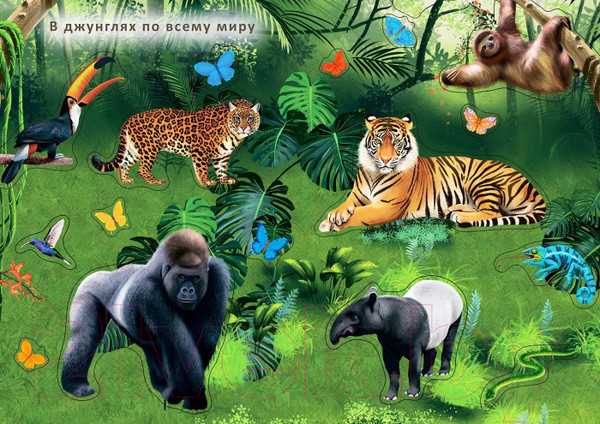 Изображение товара Развивающая книга Робинс Наклейки с заданиями. Мои первые животные