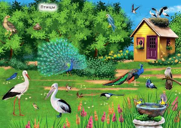 Изображение товара Развивающая книга Робинс Наклейки с заданиями. Мои первые животные